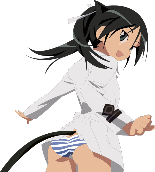 http://l.thegreatchai.com/lucchini_mfc.png
